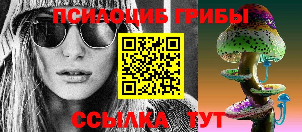 Псилоцибиновые грибы Psilocybine cubensis Ульяновск